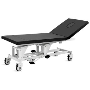 Portable Facial Table Tattoo Chair Medical Massage Therapy Bed